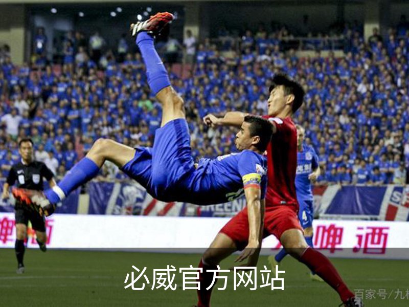 必威官方网站概况